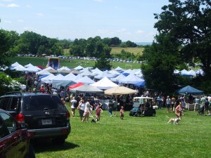 South Windsor Strawberry Fest and Craft Fair