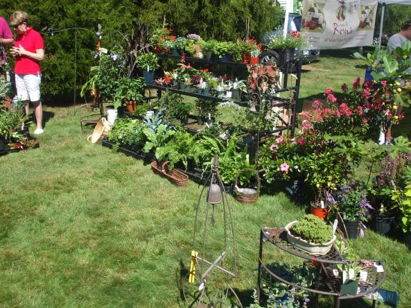DSCF4150 The Balleks Garden Center booth at the Open Air Market. Photo by Jason Harris.