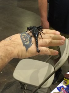 A scorpion at Terror Con.
