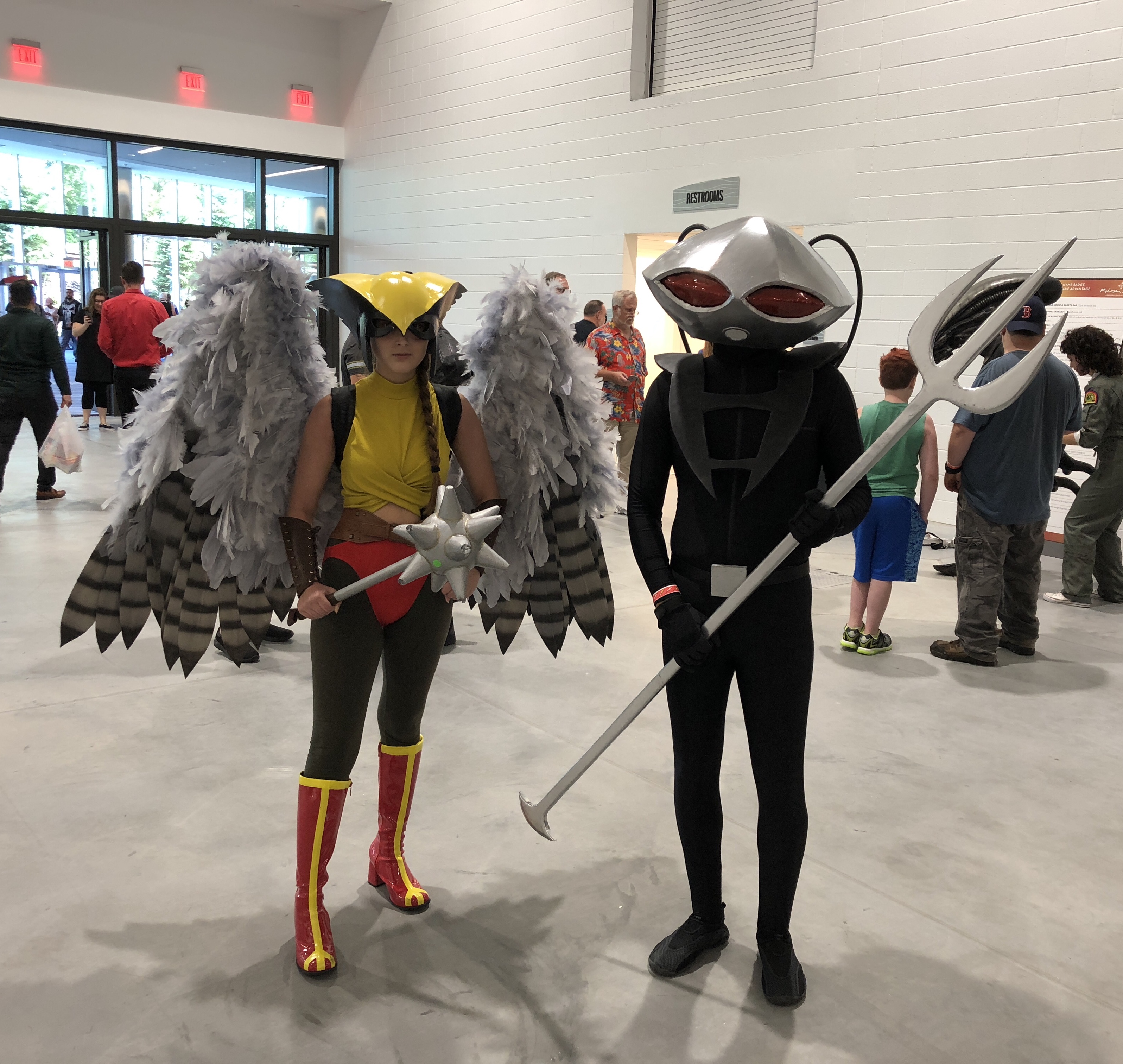 Hawkgirl and Black Mantis.